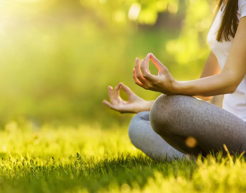 Biophilic Home Design