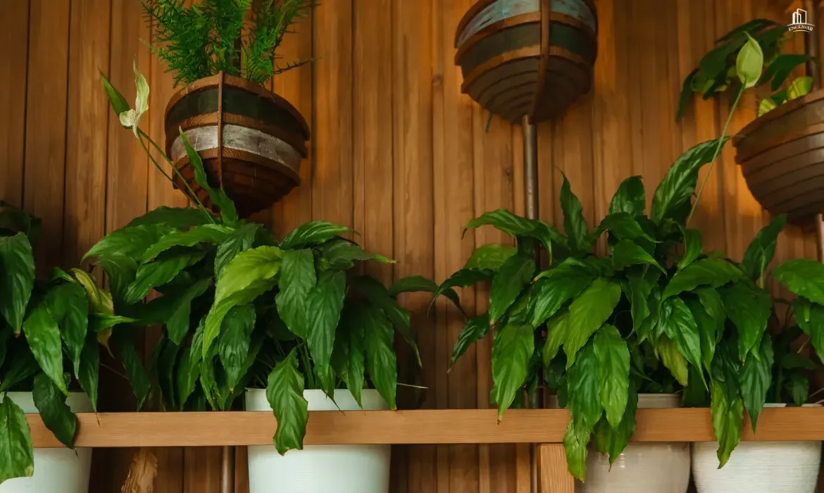 Biophilic Home design Enclavar Blog banner images